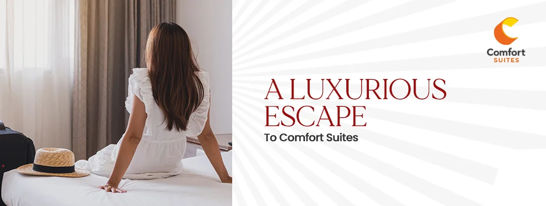 A Luxurious Escape To Comfort Suites
