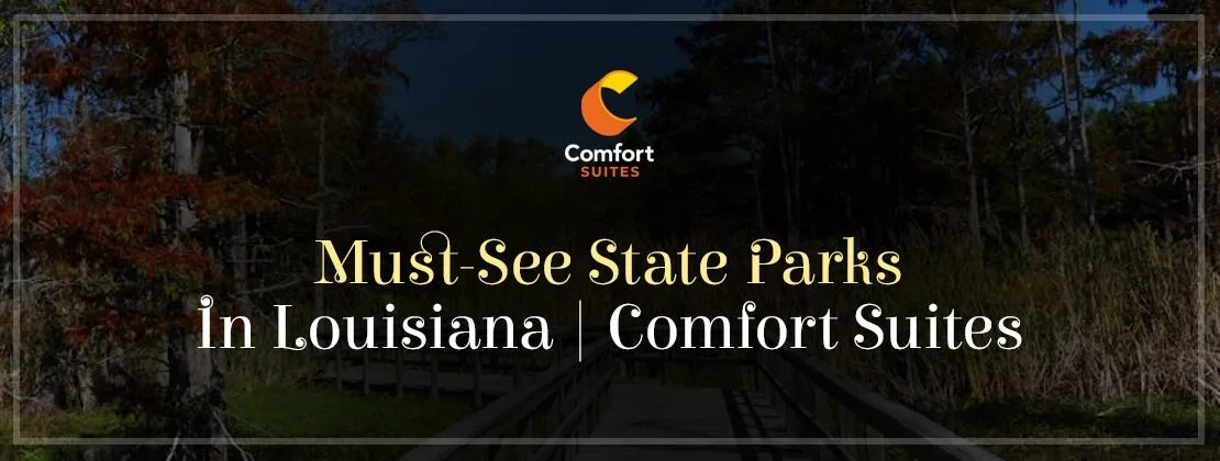 Must-see State Parks In Louisiana