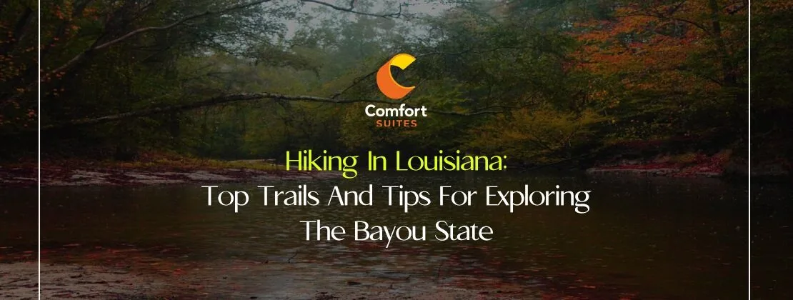 Hiking In Louisiana: Top Trails And Tips For Exploring The Bayou State