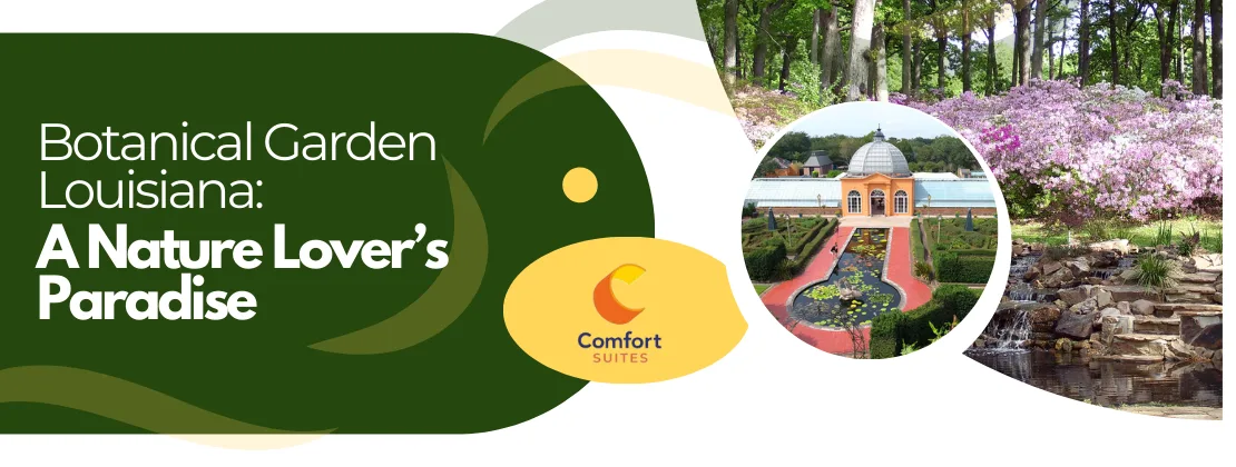 Botanical Garden Louisiana: A Nature Lover’s Paradise